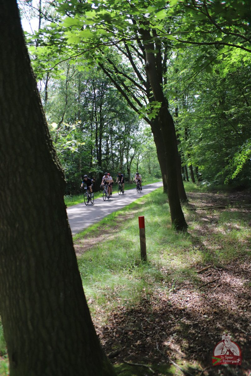 Speer van Rijsbergen 2019