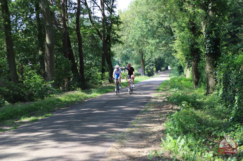 Speer van Rijsbergen 2019