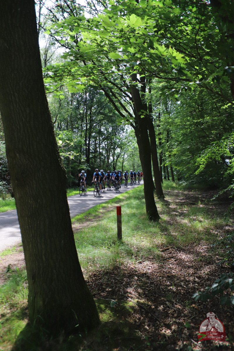 Speer van Rijsbergen 2019
