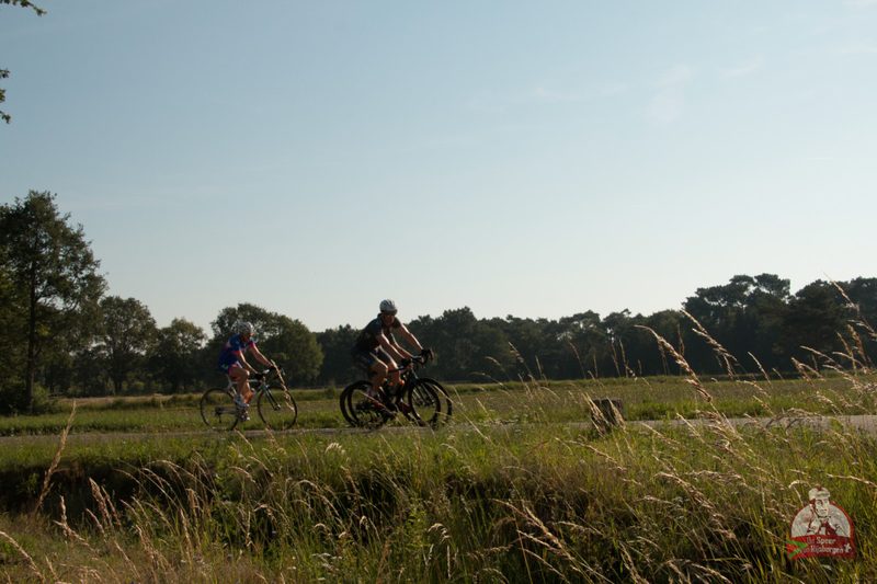 Speer van Rijsbergen 2019