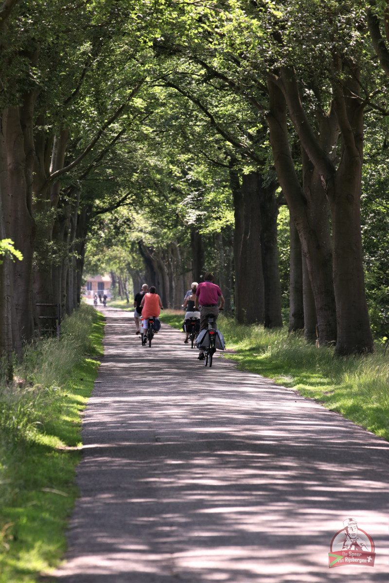 Speer van Rijsbergen 2019
