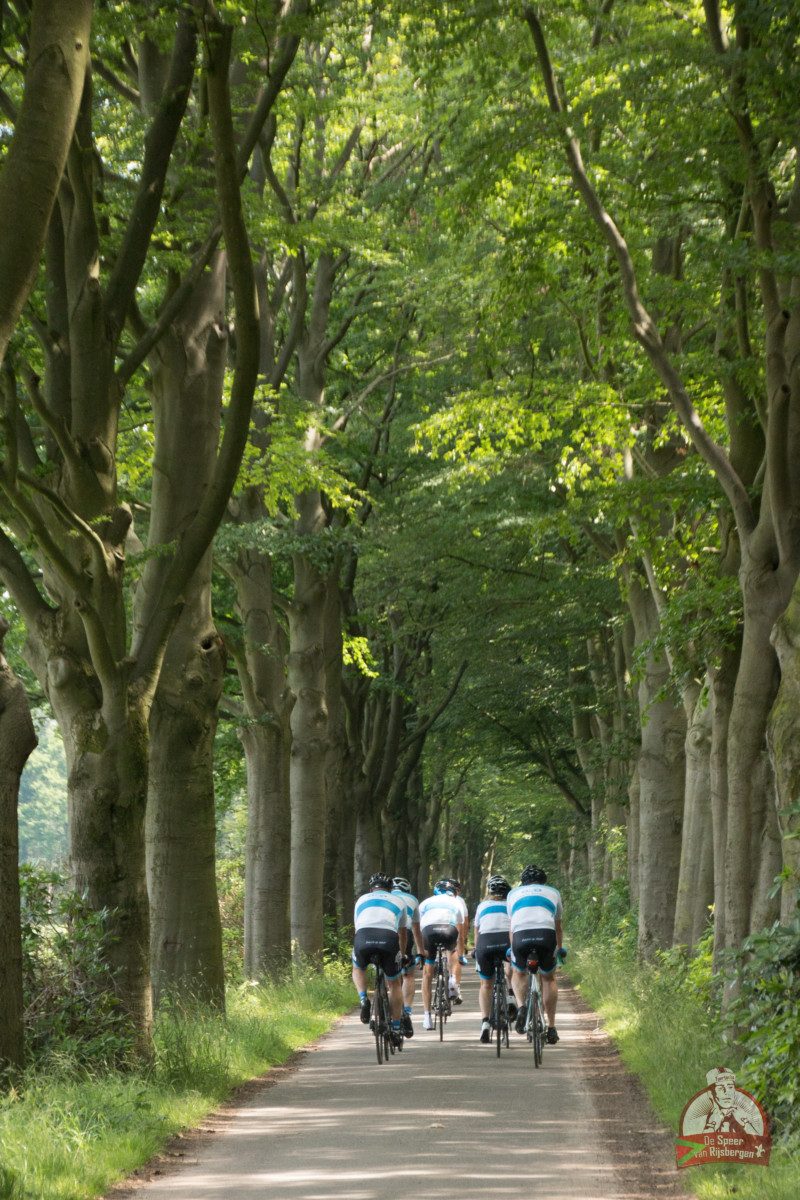 Speer van Rijsbergen 2019