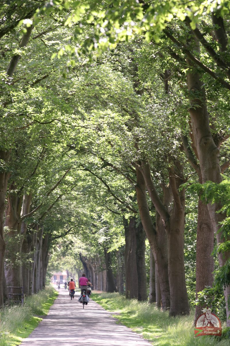 Speer van Rijsbergen 2019