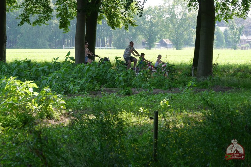 Speer van Rijsbergen 2019