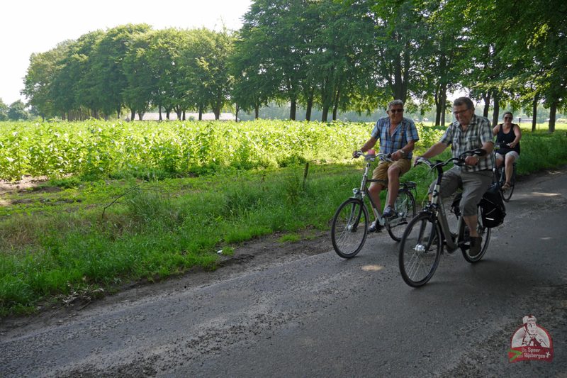 Speer van Rijsbergen 2019