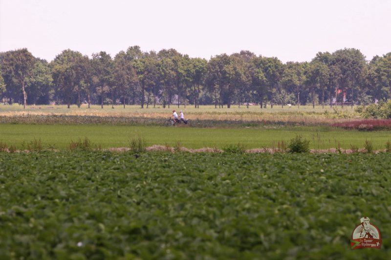 Speer van Rijsbergen 2019