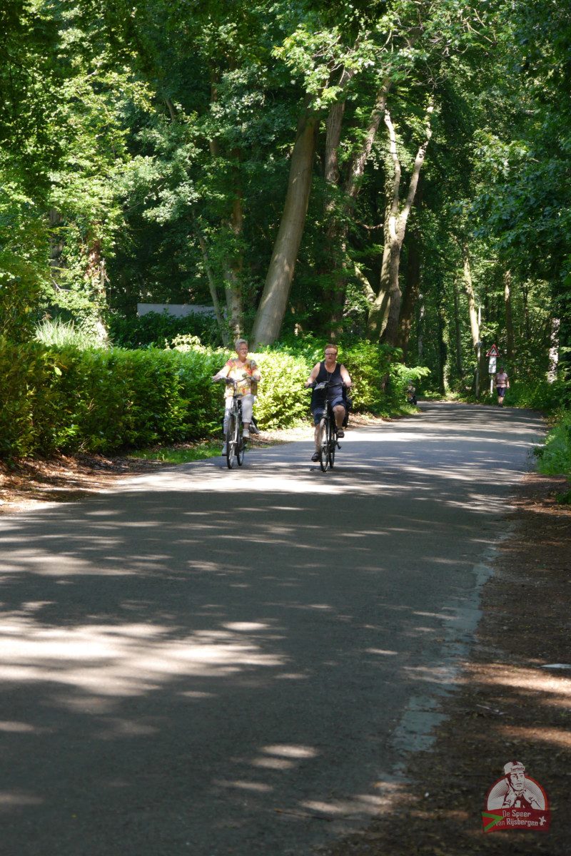 Speer van Rijsbergen 2019