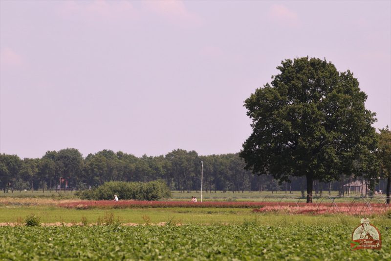 Speer van Rijsbergen 2019
