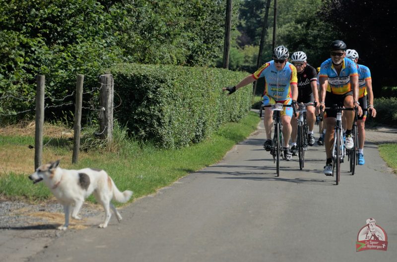 Speer van Rijsbergen 2019