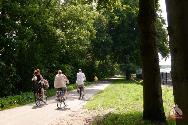 Speer van Rijsbergen 2019