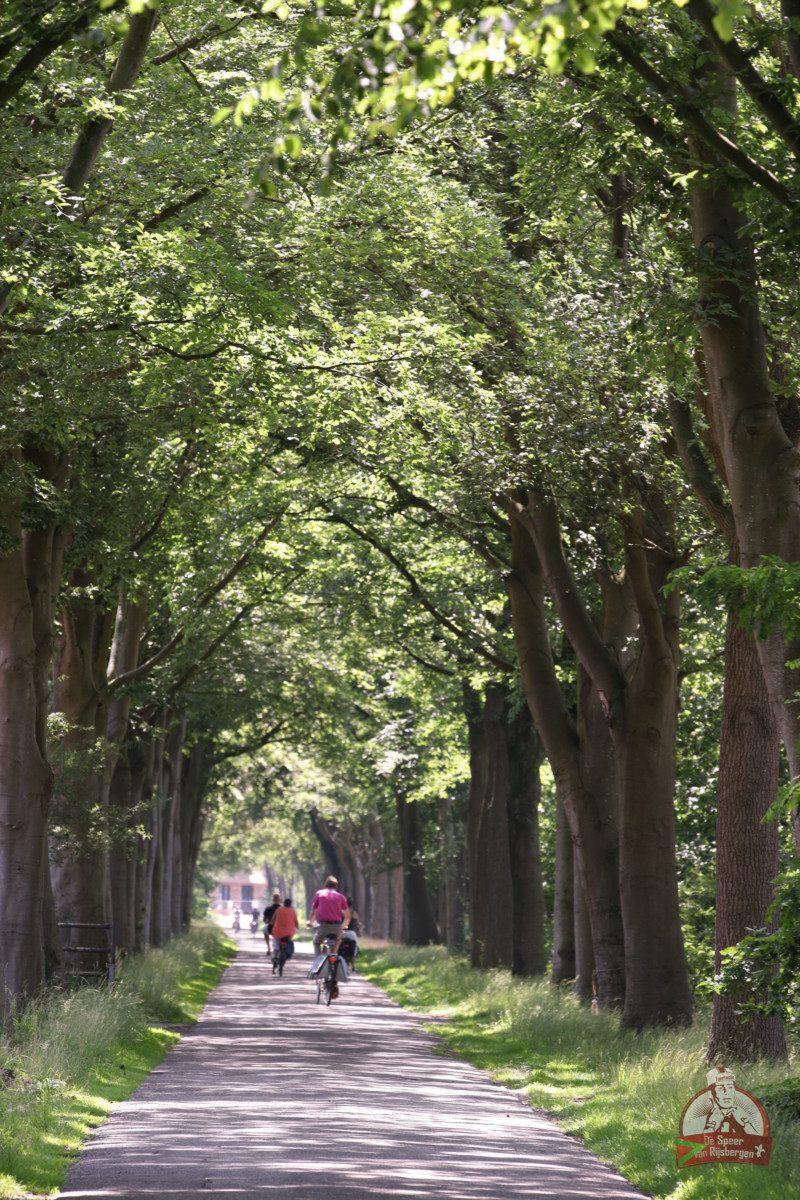 Speer van Rijsbergen 2019