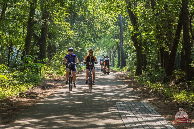 Speer van Rijsbergen 2019