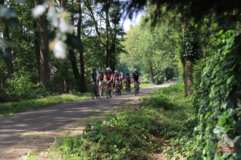 Speer van Rijsbergen 2019