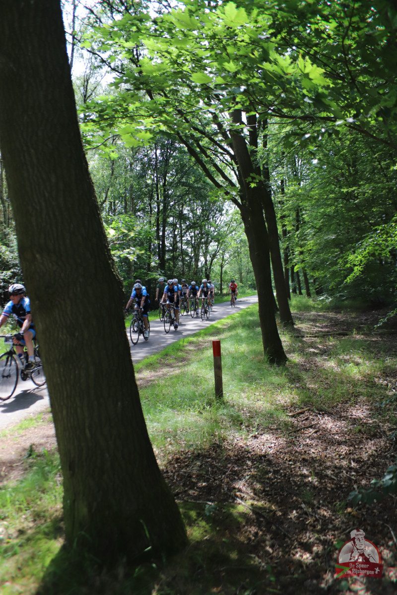 Speer van Rijsbergen 2019