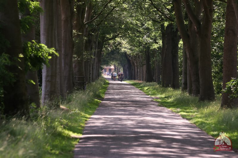 Speer van Rijsbergen 2019