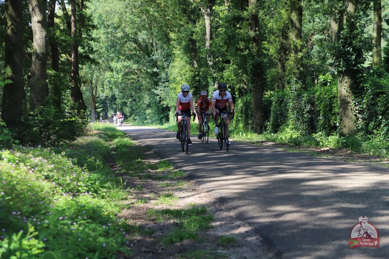 Speer van Rijsbergen 2019