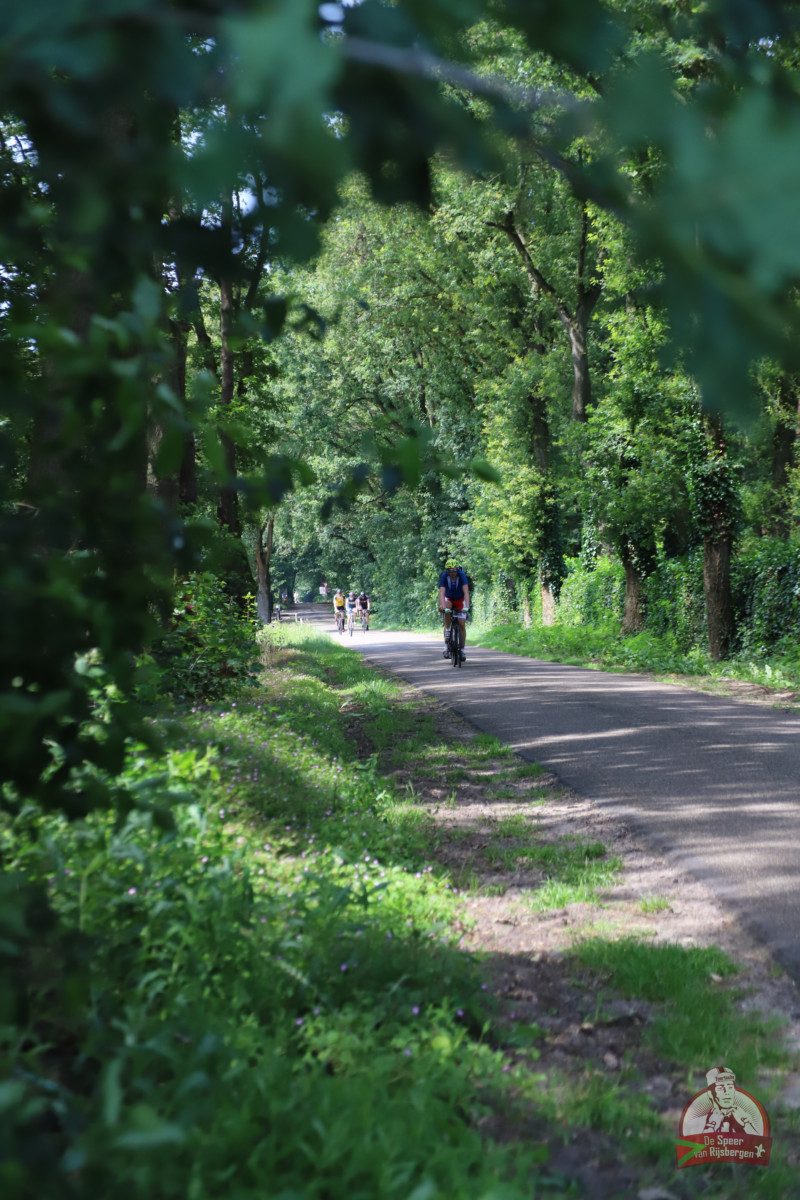 Speer van Rijsbergen 2019