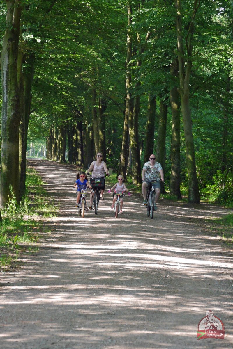 Speer van Rijsbergen 2019